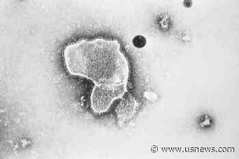 FDA Panel Narrowly Backs Pfizer RSV Vaccine for Older Adults