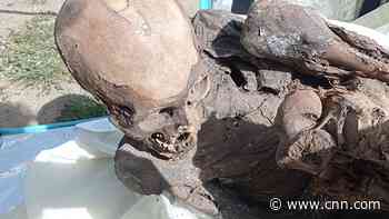 Man found carrying mummy in a food delivery bag