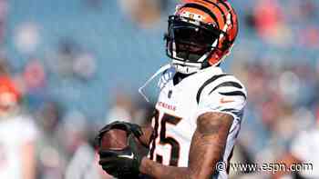 Bengals not trading Higgins: 'Find your own' WR