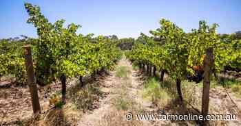 McLaren Vale organic vineyard with good water for sale