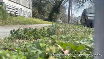Norfolk neighbors tired of gun violence after two men shot on W. 34th Street