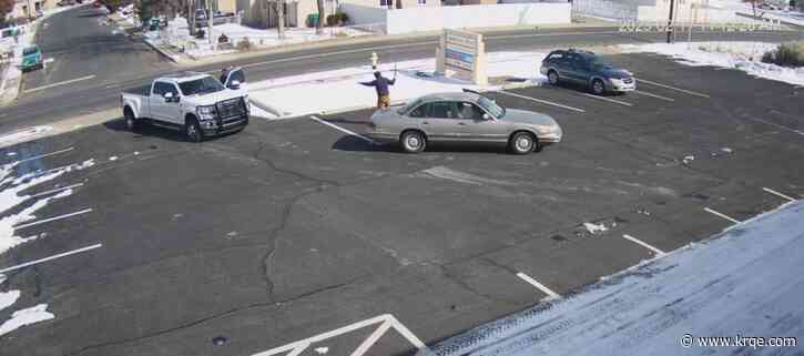 An off-duty sheriff follows reckless driver, shoots dog