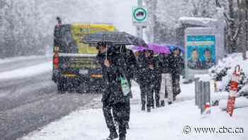 More snow expected Wednesday on B.C.'s South Coast after unexpected snowfall leads to traffic woes