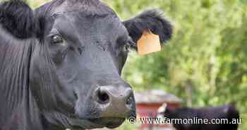 Livestock language spelt out