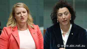 Crossbenchers pressure government to use super tax revenue to expand Paid Parental Leave scheme