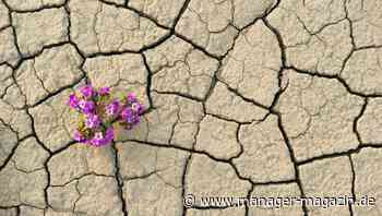 Resilienz: Der große Irrtum der Chefs