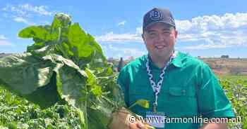 From the kitchen to the dairy, Scottish chef pursues a new career