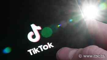 What does TikTok know about you? What should you know about it?