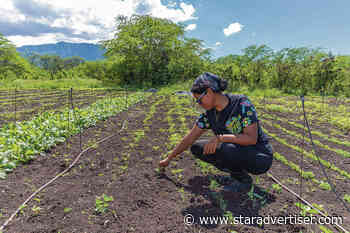 Bills to improve DOE’s Farm to School program moving forward