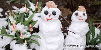 Märzwinter zum Frühlingsstart: Frost und Schnee statt milder Luft