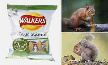 Restaurants are urged to serve 'nutritious' grey squirrel meat