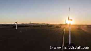 Nachhaltigkeit: EU einigt sich auf Goldstandard für grüne Anleihen