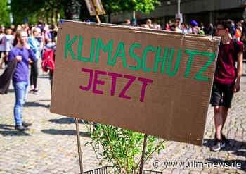 Globaler Klimastreik: FridaysForFuture-Demonstration in Ulm und Neu-Ulm