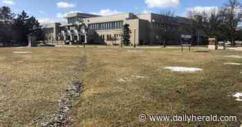 Schaumburg approves British pub-style HopScotch restaurant next to library