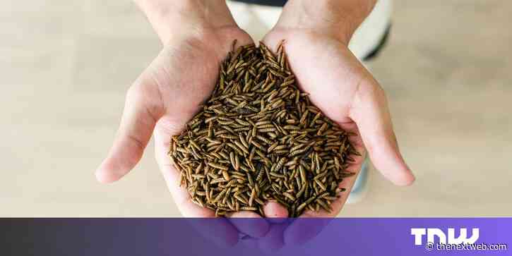 Insect farming startup targets pet food as gateway to human consumption