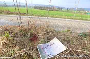 Blutspur in Bad Driburg-Alhausen: Rätsel um „Gregor“