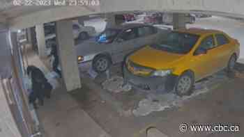 Edmonton officer's duty status under review over use of force shown in online video