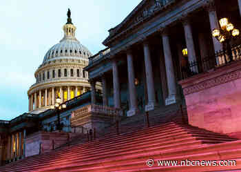 Democrats push to end security exemption on Capitol Hill as Republicans demand the right to carry guns