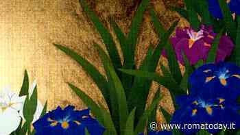 L'iris e la zucca, la mostra