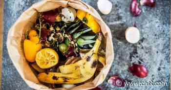 You Should Repurpose Food Scraps to Reduce Waste and Save Money     - CNET