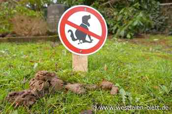 Wegen Kotproblem: Hundeverbot auf Bünder Friedhöfen geplant