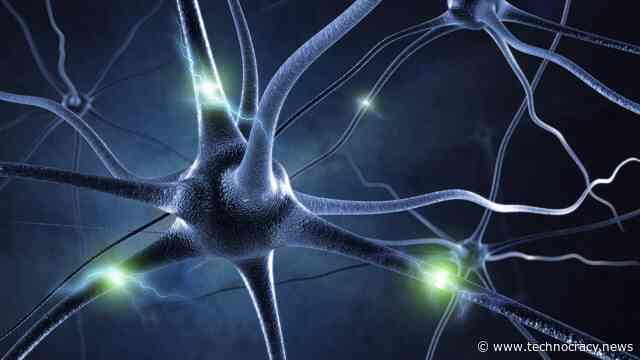 “Organoid Intelligence” (OI): Biocomputing And Intelligence-In-A-Dish