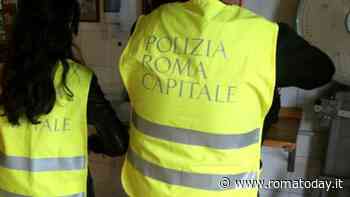 Escrementi di topo e cibi scaduti, chiuso alimentari