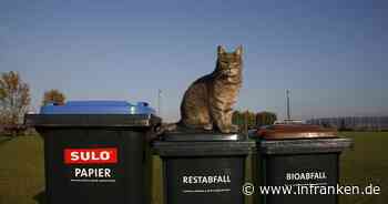 Landkreis Kitzingen: Abfallgebührenbescheide werden versandt - wann Zahlungen fällig werden