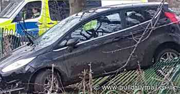 Teen arrested after 'stolen car' crashed into fence during Orchard Park joyride