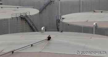 Oil and gas investment in Canada to hit $40 billion in 2023, industry group says