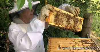 Here are the 8 recipients of the 2023 Judy Beck Grants