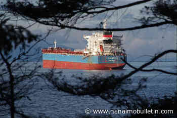Vancouver Island waters an ‘overflow industrial parking lot’ as freighter traffic skyrockets: MP