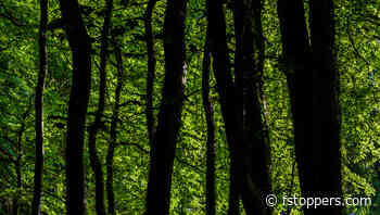 10 Million Options to Make Your Photography Unique