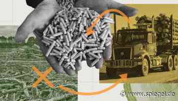 Holzpellets: Wie ein US-Konzern auf den deutschen Markt drängt