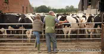Amusing video sees Brits challenged to guess farmer's job based on his appearance