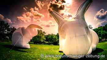 Das erwartet Wolfsburger beim Frühlingserwachen der Autostadt