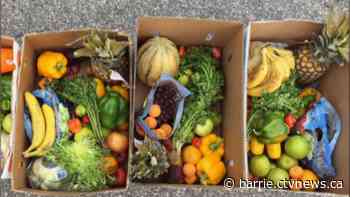 Simcoe County residents save four years of landfill usage in their green bins