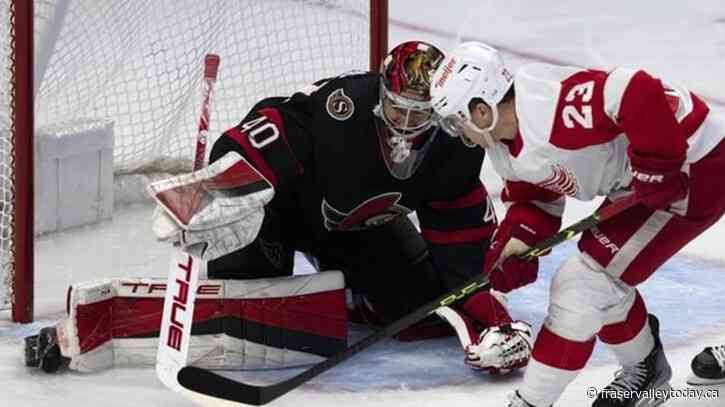 Senators goaltender Mads Sogaard named NHL rookie of the month for February