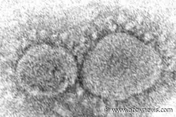 Coronavirus origins still a mystery 3 years into pandemic