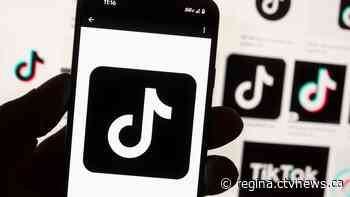 Sask. bans TikTok from government-owned devices