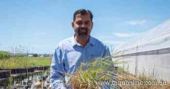 Major northern ryegrass find 'potential disaster'