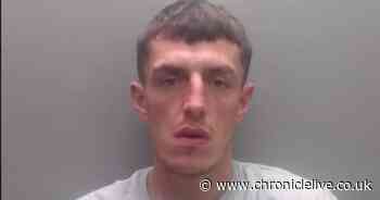 Murton man pepper-sprayed after headbutting police officer during 'spree of offending'