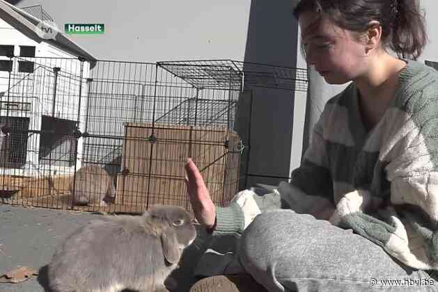 Ervaringsdeskundigen anorexia starten zelfhulp in Limburg