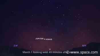 Don't miss Venus and Jupiter shine super close in the night sky. They won't be closer until 2032!