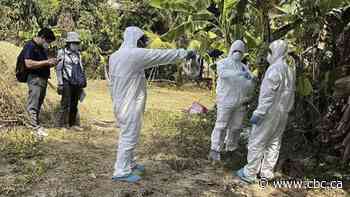 Cambodia says 2 recent bird flu cases did not spread human-to-human