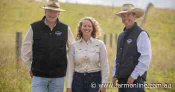 Hold or sell: Where beef carbon credits will pay the most