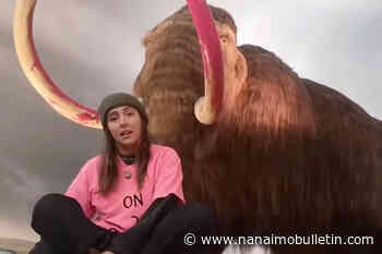 Climate protester paints Royal B.C. Museum’s iconic mammoth