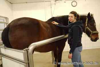 Das sagt eine Expertin zum Thema Pferdeherpes im Kreis Paderborn