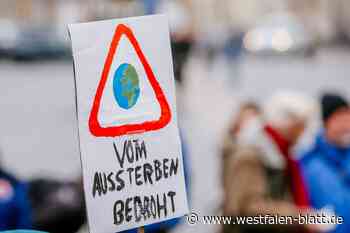Globaler Klimastreik am Freitag — auch in Paderborn