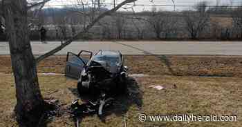 Gurnee man intentionally crashed into tree in Beach Park, sheriff's office says